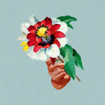 Maribou State - Kingdoms In Colour